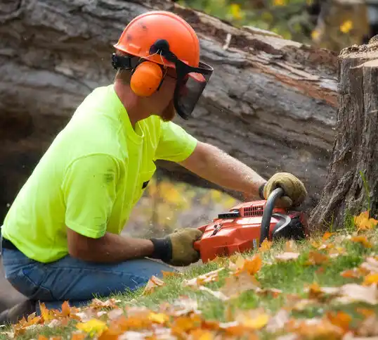 tree services Howell